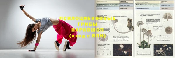 спайс Нея