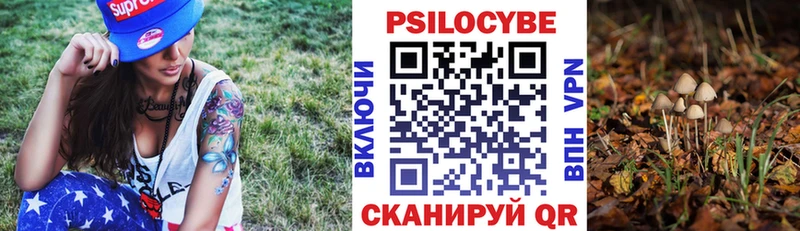 мориарти формула  Шарыпово  Галлюциногенные грибы Cubensis  МЕГА tor 