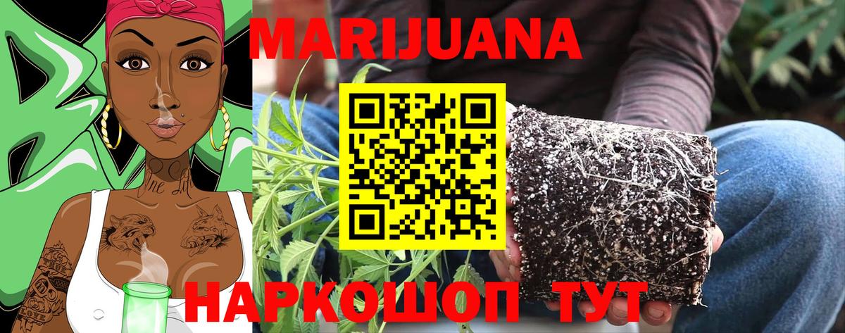Бошки марихуана планчик Шарыпово